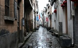 Wuyuan dans la ligne de la pluie (Minghu œuvres Metasequoia) #7