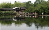 Wuyuan in the rain line (Minghu Metasequoia works) #13