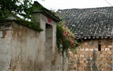 Wuyuan dans la ligne de la pluie (Minghu œuvres Metasequoia) #16