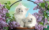 Animals Wallpaper Momente #37