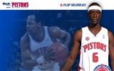 Detroit Pistons Offizielle Wallpaper #20