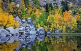 Fond d'écran magnifiques paysages d'automne #13