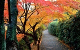 秋の風景の美しい壁紙 #14