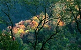 Fond d'écran magnifiques paysages d'automne #22
