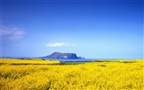  Windows7の公式テーマの壁紙 #5