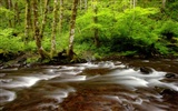 Water streams HD Wallpapers #8