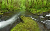 Water streams HD Wallpapers #11