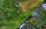 Water streams HD Wallpapers #16
