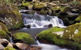 Water streams HD Wallpapers #18