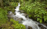 Water streams HD Wallpapers #24