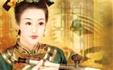 Fondos de la Dinastía Qing Pintura de la Mujer #9