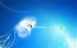 Windows7 theme wallpaper (2) #11