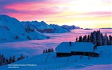Suisse Tourisme d'hiver de papier peint #7