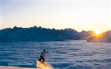 Schweiz Tourismus Winter Wallpaper #11