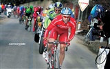 Tour de France Tapete #13