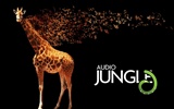 Design Audio Jungle Fond d'écran #11