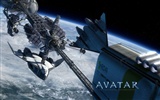 Avatar HD Wallpaper (1) #19