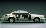 宝马BMW-ArtCars壁纸9