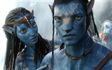 Avatar HD tapetu (2)
