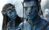 Avatar HD wallpaper (2)