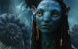 Avatar HD Wallpaper (2) #12