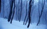 HD wallpaper cool winter snow scene #11