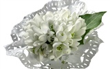 눈같이 흰 꽃 벽지 #8