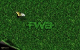 Widescreen Wallpaper FWA Album #4