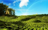 PS Widescreen Landscape Wallpapers #25