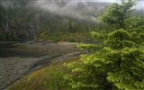 nádherné přírodní scenérie HD Tapety na plochu #5