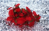 Christmas landscaping series wallpaper (5) #9