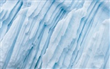 Apple's Snow Leopard default wallpaper full #10