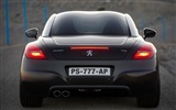 2010 Peugeot RCZ(标致308)21