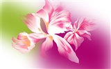 Flor sintético HD Wallpapers #14