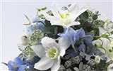 Hochzeit Blume Ehering Wallpaper (1) #9