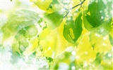zelená témata životního prostředí PS Wallpaper #15