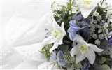 Hochzeit Blume Ehering wallpaper (2) #1