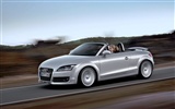 Audi TT Roadster 3.2 Quattro壁纸2