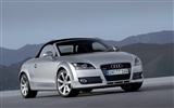 Audi TT Roadster 3.2 Quattro壁纸10