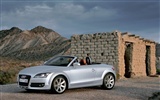 Audi TT Roadster 3,2 Quattro wallpaper #12