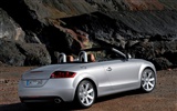 Audi TT Roadster 3.2 Quattro fond d'écran #14