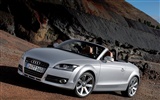 Audi TT Roadster 3.2 Quattro壁纸15