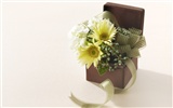 Flowers Gifts HD Wallpapers (2) #11