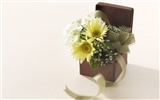 Blumen Geschenke HD Bilder (2) #11