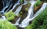 Waterfall streams HD Wallpapers