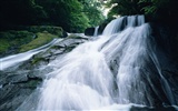 Waterfall streams HD Wallpapers #2