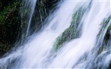 Waterfall streams HD Wallpapers #9