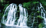 Waterfall streams HD Wallpapers #15