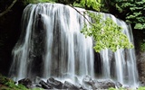 Waterfall streams HD Wallpapers #25