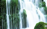 Waterfall streams HD Wallpapers #28